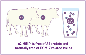 The proline found in A2 milk prevents BCM 7 to reach our body. BCM 7 is an opioid peptide. It is a small protein that does not digest in our body. This can lead to indigestion and many types of research have shown that it may lead to various other diseases like diabetes etc