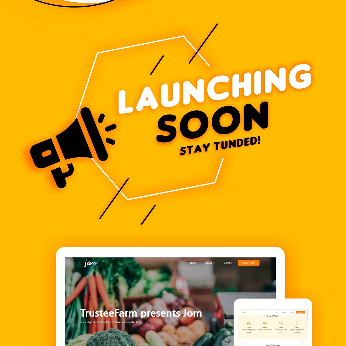 Trusteefarm1's tweet photo. We are almost Ready!!

#fruitsbasket #fruitsandvegetables #digitalmarket #HealthyEating #healthyconsumption #vegetables #fruits #freshproduce #marketplace  #digitalmarketplace https://t.co/2c8HwZuCFy
