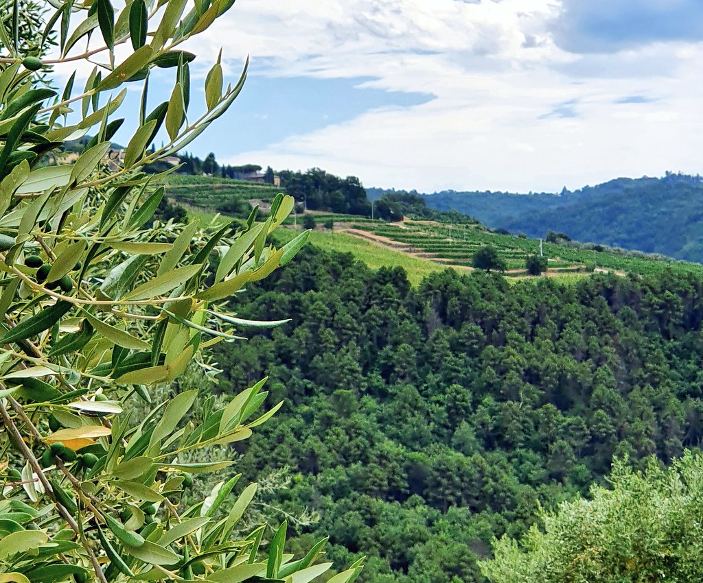 Jessica | A Wanderlust For Life tweet media