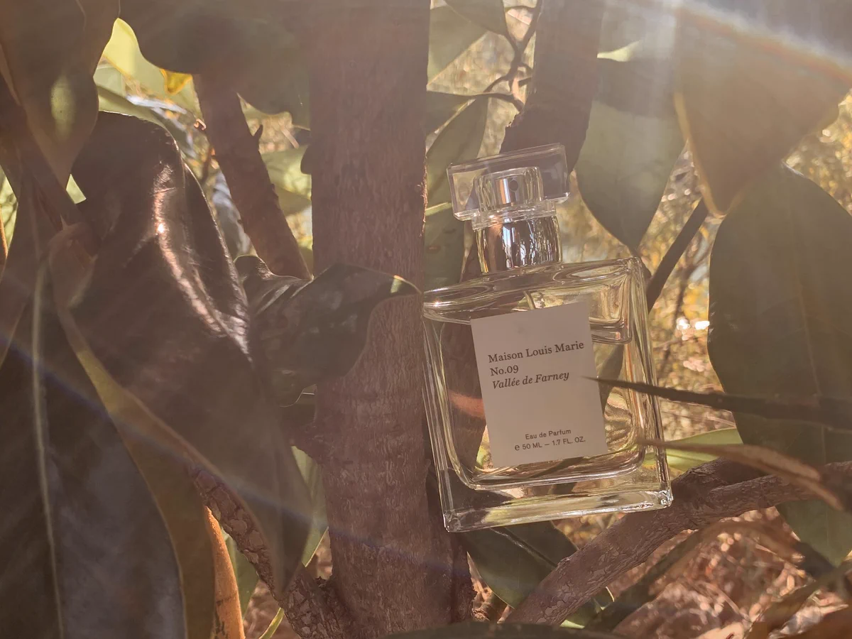 美品】Maison Louis Marie No.09 自然公園 No.9 ヴァレ ドゥ フェルネ