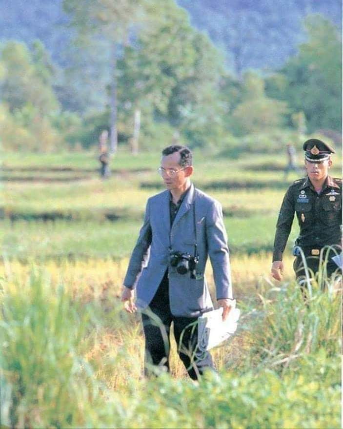 1st_Army_Area's tweet image. Everywhere there are people That is where the Thai king works.

ประชาชนอยู่ที่ไหน ที่นั่นคือที่ทรงงานของพระองค์💛
ทรงสถิตในดวงใจตราบนิรันดร์🙏

Cr. ราชบัลลังก์จักรีวงค์
#love our king
# thailand