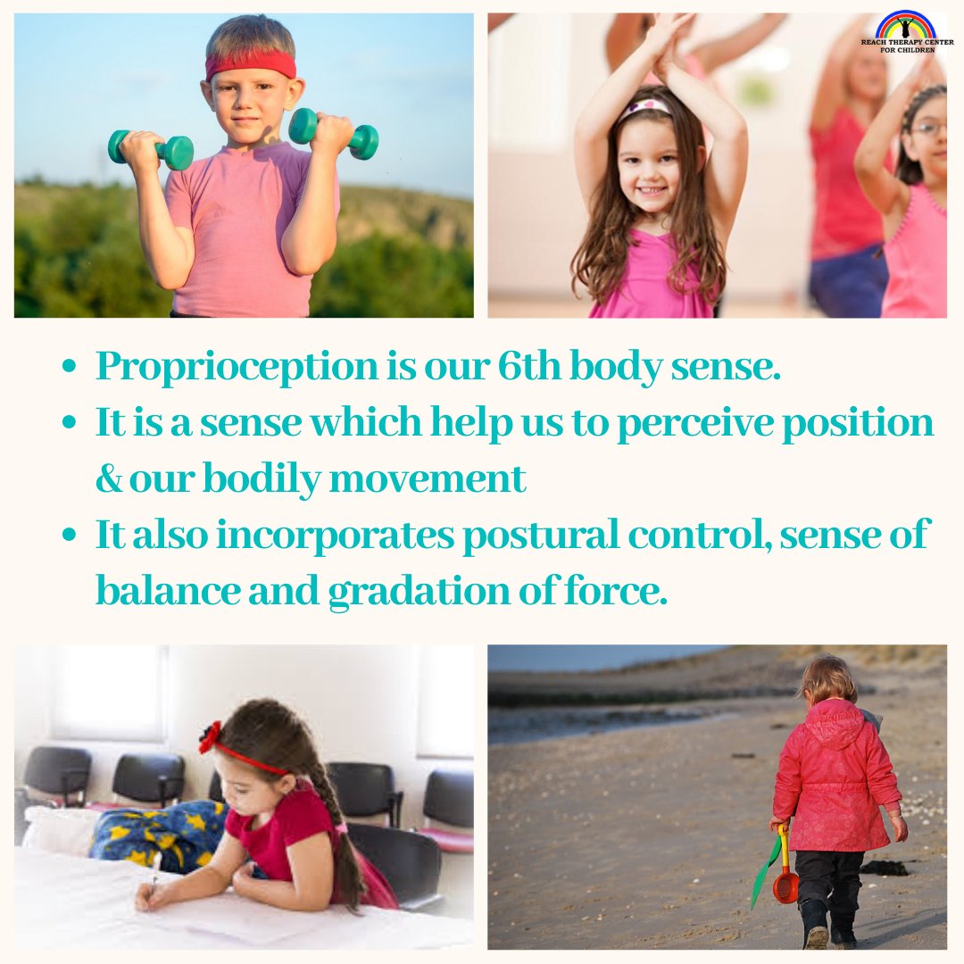 reach_therapy's tweet image. This week we are talking about the proprioceptive system.
Stay tuned for activities on proprioception that can be incorporated at home. 
#proprioception #sensorysystem #6thsense #sensoryplay #parenting #specialneeds #occupationaltherapist #learnwithreach
#therightkindoftherapy