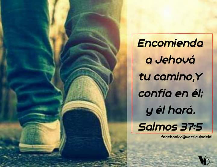 Joelzavala (@joelzav76710925) on Twitter photo 