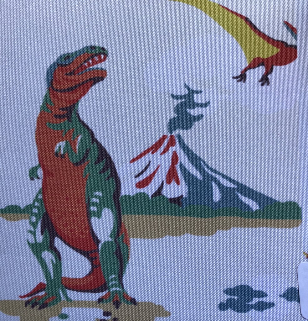 CleaCoulter's tweet photo. For some reason my husband didnβt like my choice for blinds #mainframe #DancingDinosaur https://t.co/IWRbzSmdjS