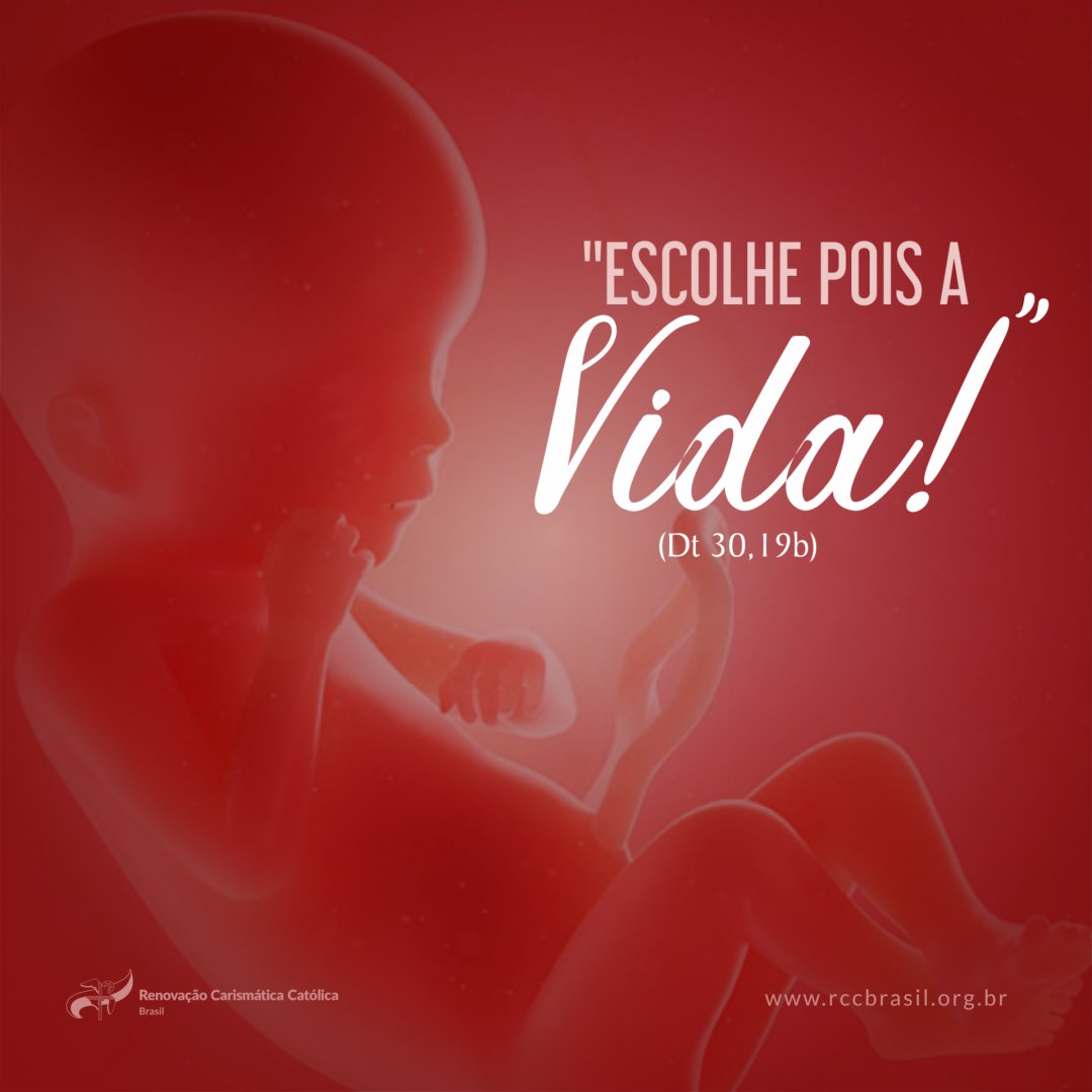 rccbrasil's tweet photo. Como cristãos (seguidores do Cristo Todo) e seres-humanos balizados por princípios naturais de respeito, reverência e valorização do outro, lamentamos profundamente pela violência inominável sofrida pela menina capixaba de 10 aninhos, cujo nome foi indevidamente divulgado por https://t.co/pg6K4HDQWg