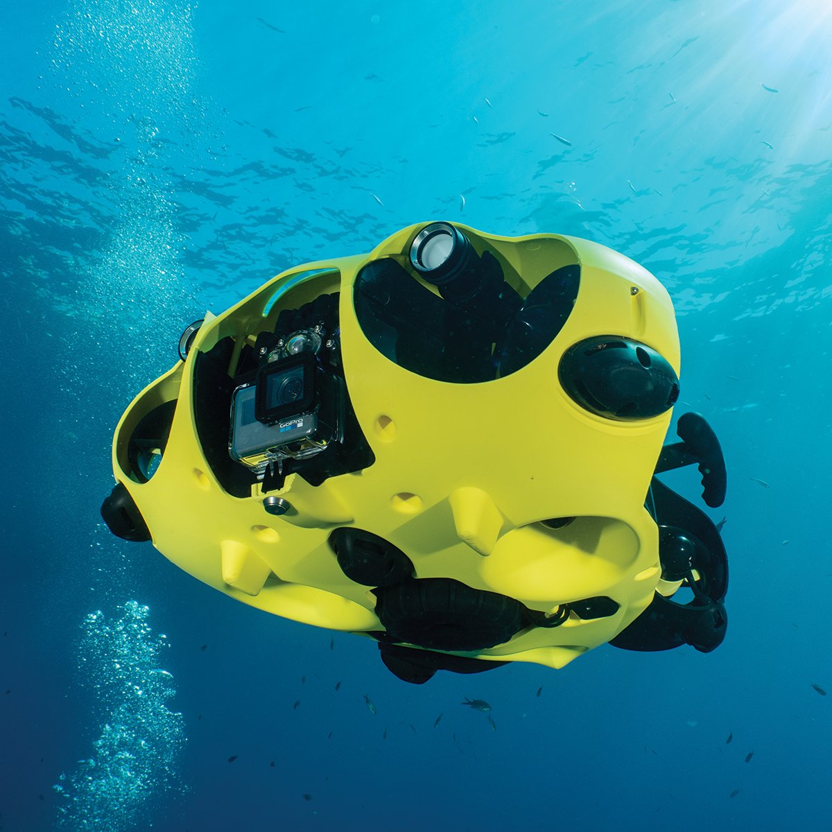 #iMakeMemories 27: Close up
Learn more on hubs.ly/H0tLM770 👌

#iBubble #autonomous #underwaterdrone #underwatervideo #underwaterphotography #underwaterart #diving #scuba #scubadiving #freediving #underwater #ocean