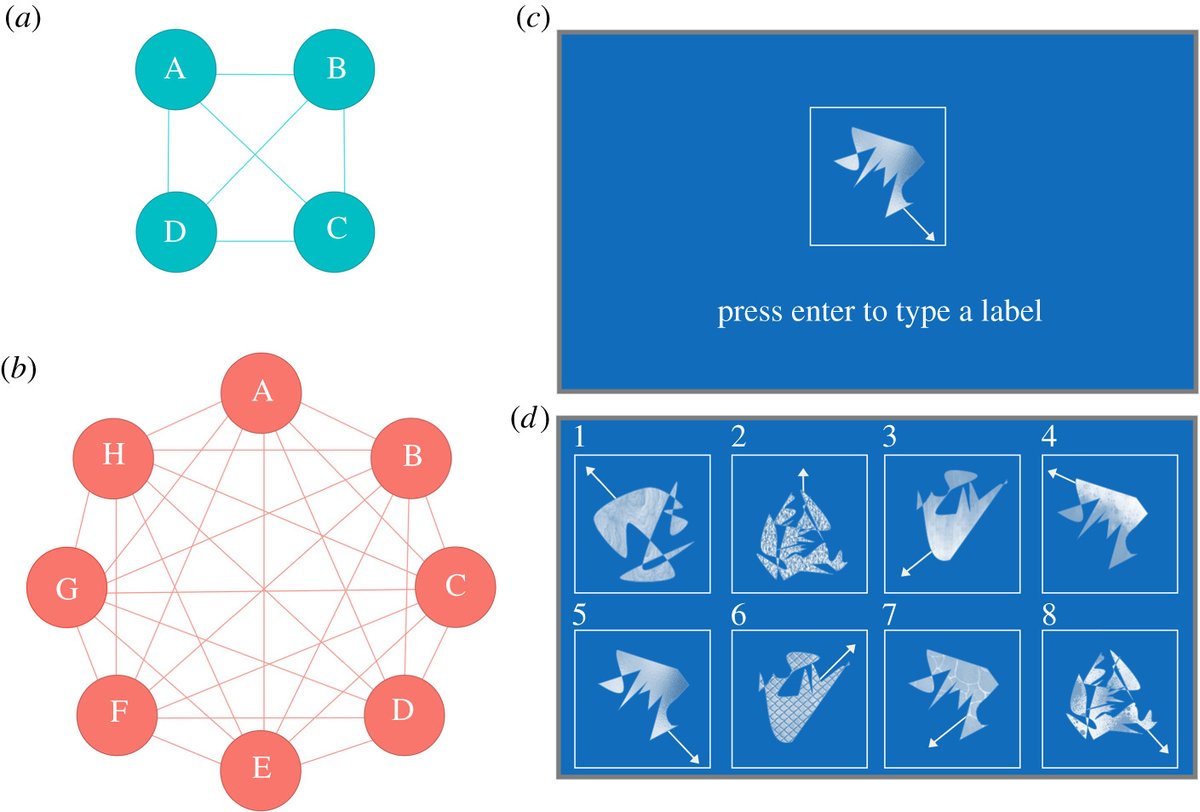 In a previous paper, we used the same paradigm to look at the role of community size, and found that larger groups created more systematic languages:  https://royalsocietypublishing.org/doi/full/10.1098/rspb.2019.1262