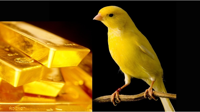 PopescuCo's tweet photo. #Gold is the canary in the international monetary system and it signals imminent collapse, reset of the system. Gold is up in all time high territory in all fiat currencies. https://t.co/apVP86re2F