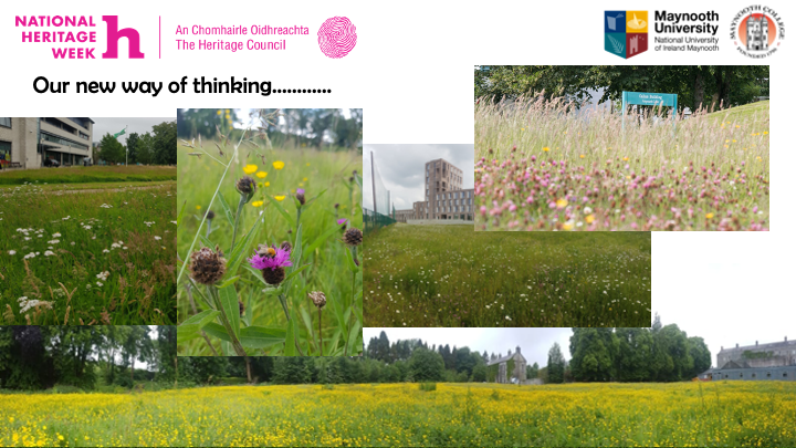 Maynooth University Library tweet media