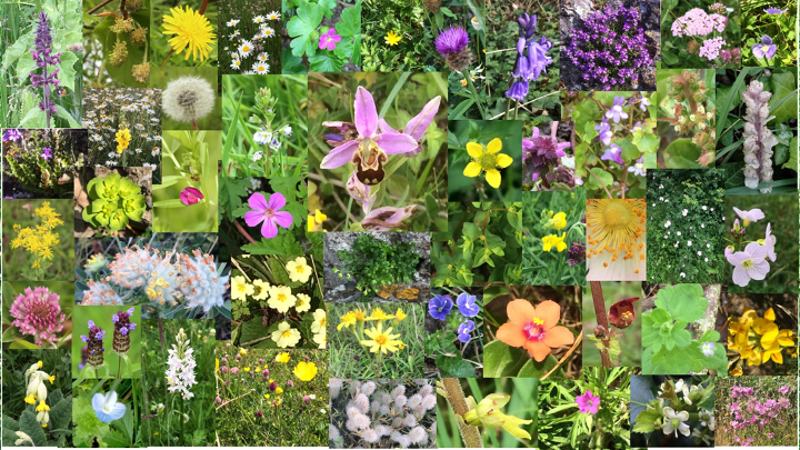 Maynooth University Library tweet media