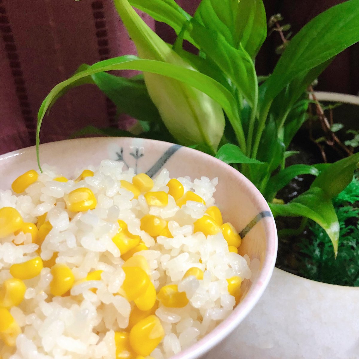 今日はとうもろこしのご飯炊いた🌽🍚