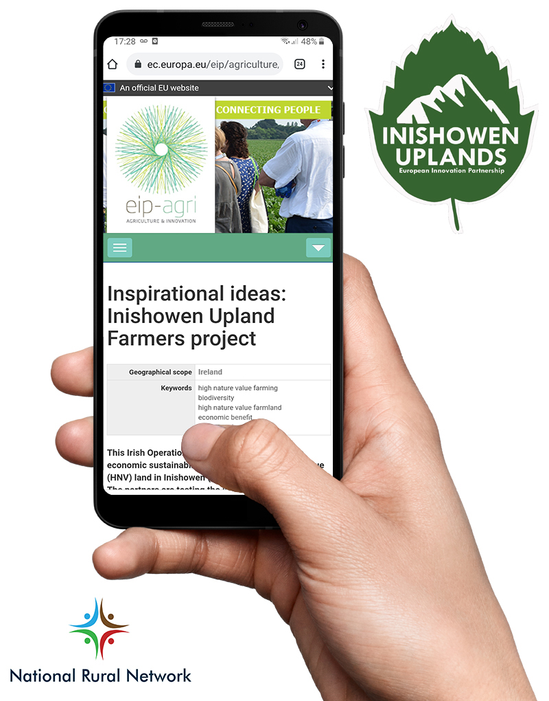 CAP Network Ireland tweet media