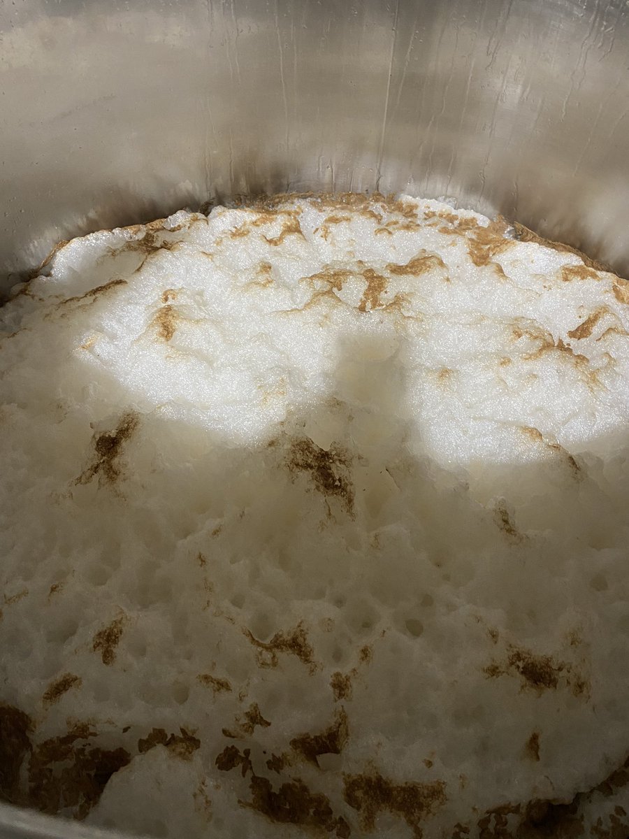 Yesterday’s batch of golden fermenting nicely.
Today other end of the scale with the lions kingdom!