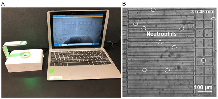 CytoSMART tweet media