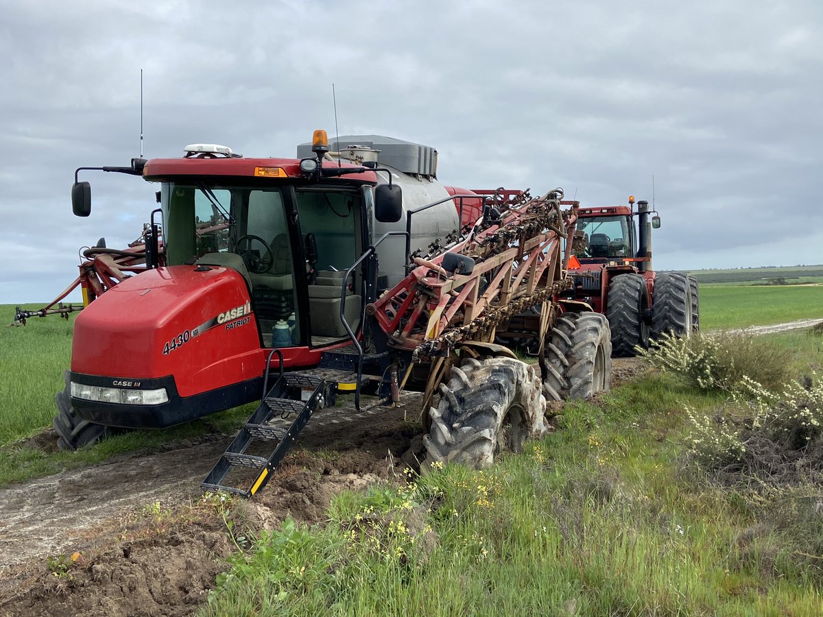 AshleyBone8's tweet photo. @farmersway Definitely still a carton https://t.co/AwPbcJE84s
