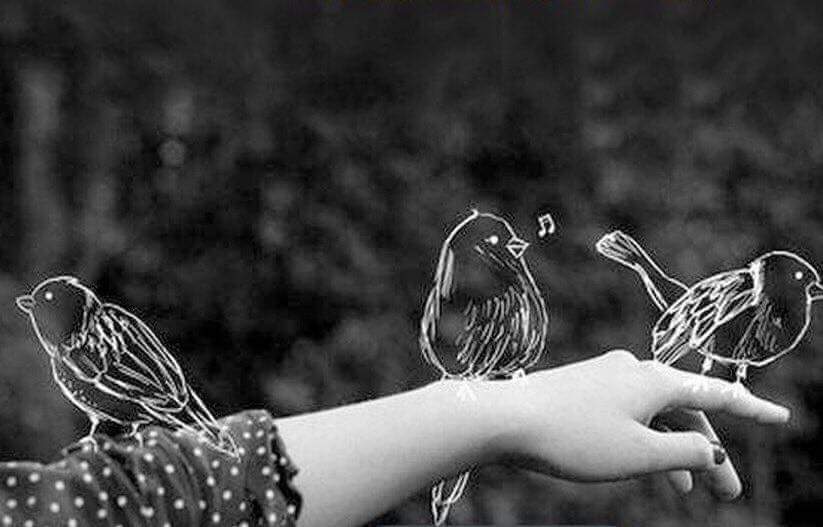 Bizim kapımız kapanmaz asLa....
#Kıymet_BiLene...
DostLuğa, iyiye güzeLe,,,
Sevgiye Barışa,
Dört mevsim AraLık'tır insan oLana...