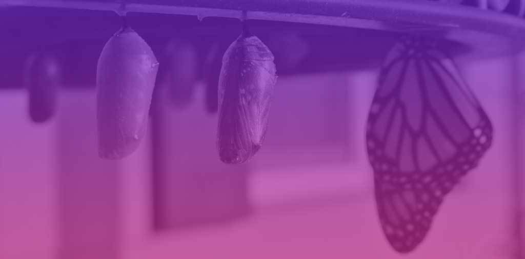 burrough's tweet photo. You need to be able to make small changes throughout the process and for that, you need a flexible approach to changes from your e-learning developer and a tool like Evolve Authoring.
Read more ๐ https://t.co/CICyjNAw3F
#evolveauthoring #elearning https://t.co/OyUgiXHMUZ