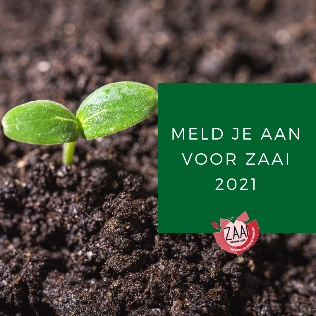 Ben jij minder dan drie jaar geleden gestart met jouw onderneming en ben je gevestigd in de Haarlemmermeer? Meld je dan aan voor het nieuwe Zaai seizoen! Klik op onderstaande link voor meer informatie en meld je direct aan. zaaihaarlemmermeer.nl/coachtraject-z…

#startendeondernemers #coaching