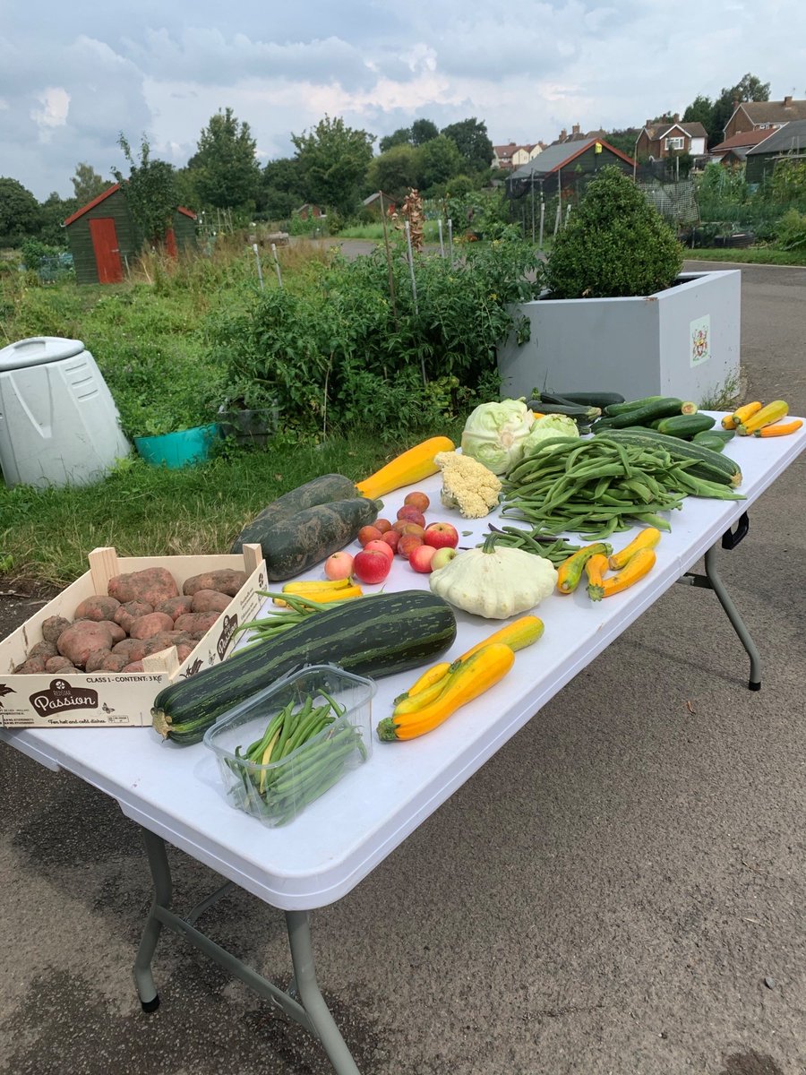 This amazing table full of fresh produce will be going to the Community Fridge, which is hosted at the <a href="/aylesburyvine/">Aylesbury Vineyard Church</a>. 🍅🥒 Thanks to allotment holders from all seven of our allotment sites for contributing.😃 #Aylesbury
