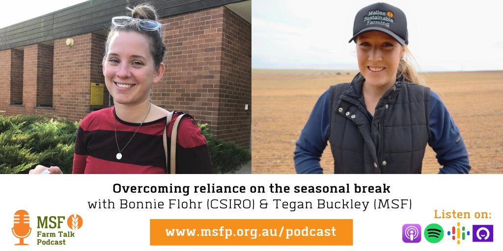 MsfMallee's tweet image. NEW PODCAST EPISODE: Overcoming reliance on the seasonal break - early wheat establishment findings at Lameroo, SA 🌧 Bonnie Flohr (CSIRO) discusses soil, water and temperature thresholds for early wheat establishment. 🌱
LISTEN: bit.ly/3g872xC
#MSFFarmTalkPodcast #SAGIT
