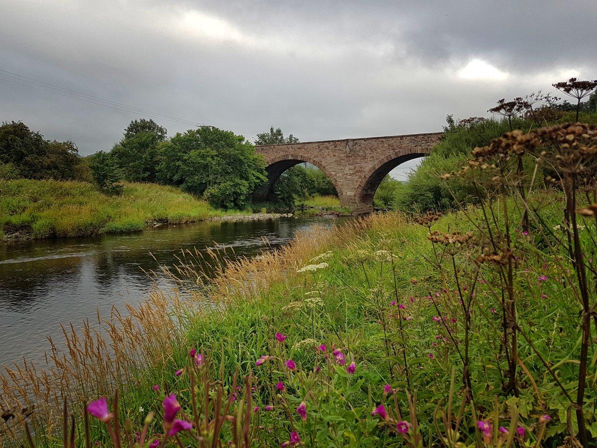 DenholmVillage's tweet photo. Good Morning from Denholm village 🌧️ there is a smell of autumn in the air and the riverside plants are dying back #riverteviot #teviotbridge #villagelife https://t.co/7wW8uXO03Z