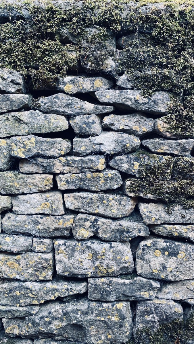 Bu dry stone / drystack (yığma taş?) duvarlarda insana huzur veren bi’şey var; hastasıyım. Britanya kırsalı, seviliyorsun. 🖤

#Cotswolds