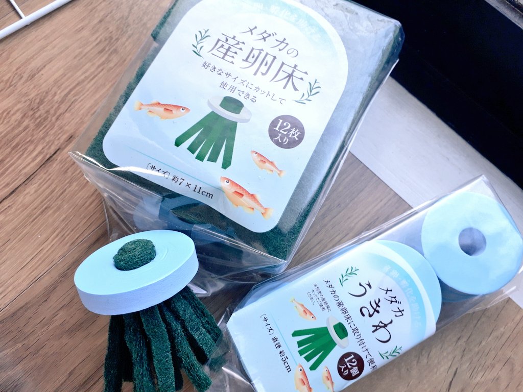 メダカの産卵床 今まで適当に手作りしてたんだけど セリアでメダカのうきわも発見 こりゃすごい 夏のメダ活が捗る っ ツイレポ メダカの産卵床 今まで適当に手作りしてたんだけど セリアでメダカのうきわも発見 こりゃすごい 夏のメダ活が捗る っ ツイレポ