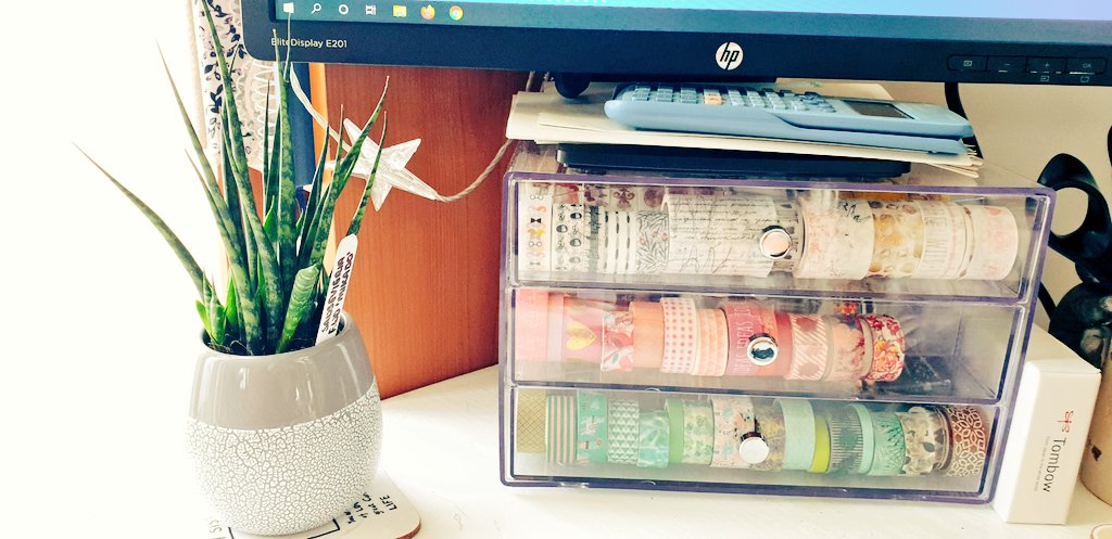 annetteraffan's tweet photo. My new desk mate - #Sansevieria bacularis 'Fernwood Mikado' (nomenclature a little confusing on this one)I also absolutely love my #washitape drawers! Fulfills my chaos into order addiction 😂 #houseplants #yesimprocrastinating https://t.co/DqQc2EF0MJ