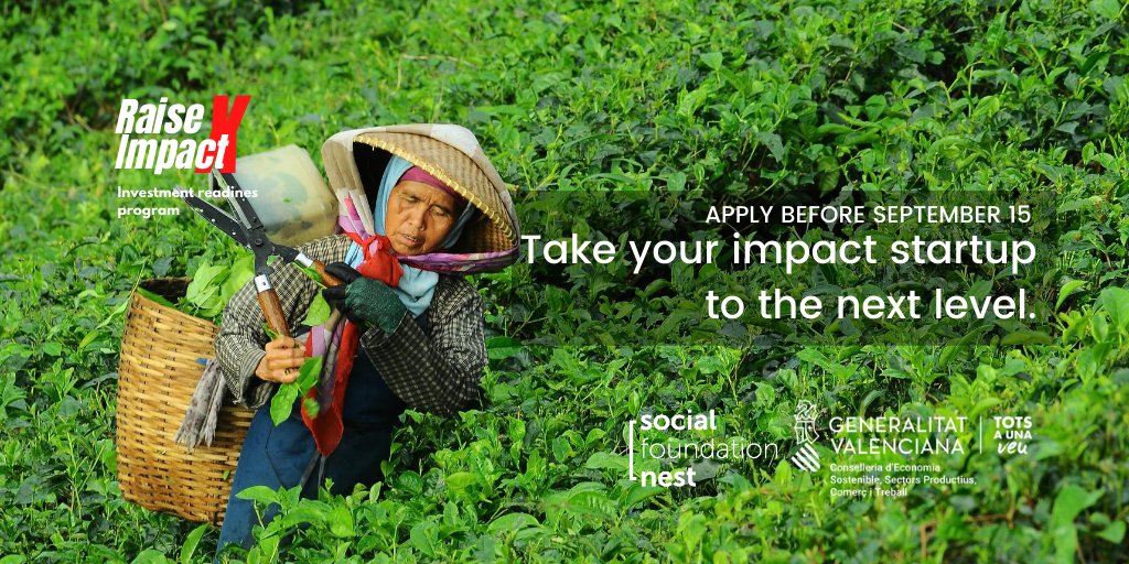 ¿Eres una #startup del sector social/ambiental y necesitas prepararte para tu primera ronda de inversión?,No pierdas la oportunidad de acceder a nuestro programa de aceleración #RaiseXImpact, en colaboración con @GVAeconomia.

Más info 👉bit.ly/RaiseXImpact20…
#Socent #ImpInv