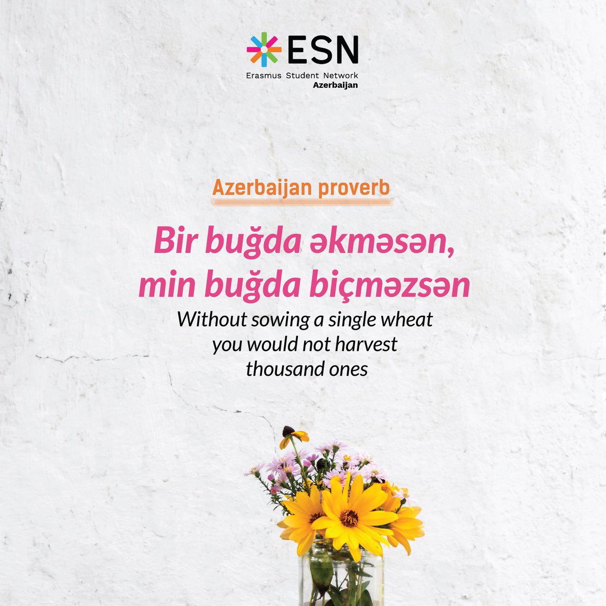 ESN_Azerbaijan's tweet photo. One small action can help change what happens in the future. ✨ Which steps are you taking now to help yourself in the future?
#ESNAzerbaijan #THISisESN #azerbaijan #proverb #erasmus #future #exchangeyear #erasmus2020 #diversity https://t.co/nun1mc58Nh