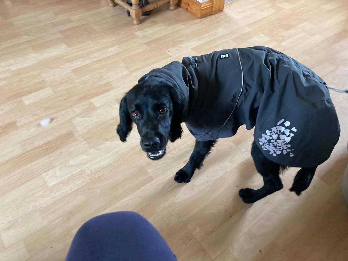 Zena Conkey tweet media