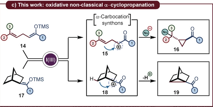 MaulideLab's tweet photo. Fresh off the press - how to make cyclopropanes using oxidative Umpolung @angew_chem! Nice job @bauer_adriano @Giovannidm91 and Jing Li @univienna https://t.co/XBuzm9HabM https://t.co/6gD1Ew5kMF