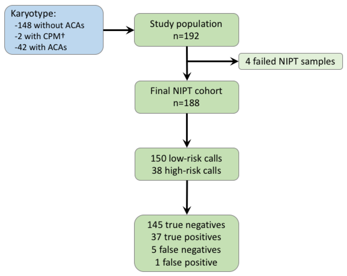 JCM_MDPI's tweet photo. #mdpijcm 
#SpecialIssue Prenatal Genetic Screening and Diagnosis
Strategy for Use of Genome-Wide Non-Invasive Prenatal Testing for Rare Autosomal Aneuploidies and Unbalanced Structural Chromosomal Anomalies 
https://t.co/ds4TRSZIZf
@MDPIOpenAccess https://t.co/vJh6NCURiD
