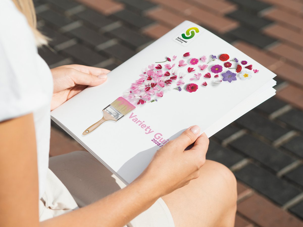 With our new brochure we’ve created a new standard for years to come. It’s filled with background information about our company, an explanation of our concepts and extensive technical information about our products. Request your copy via schoneveld-breeding.com/productcatalog… #plantmorevalue
