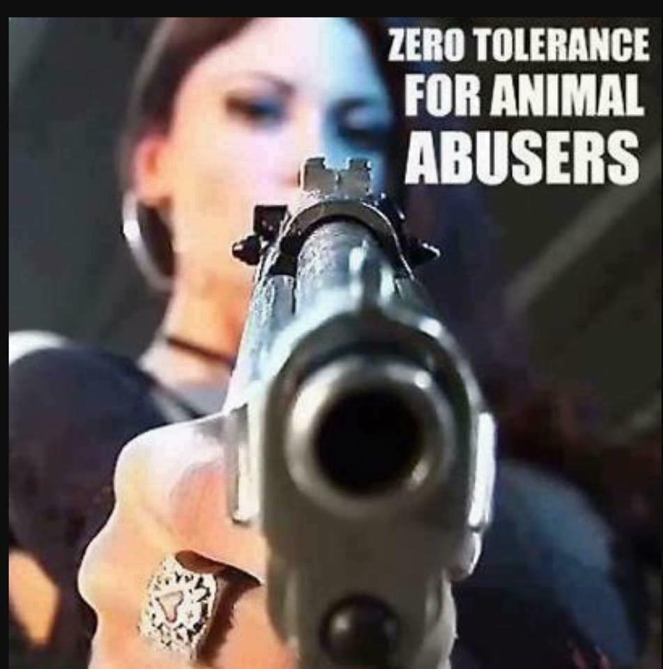 marixapanda's tweet photo. #NoToleranceForAnimalAbusers 🔫🔪🗡️🪓🩸 https://t.co/ZbL7TtiK4m