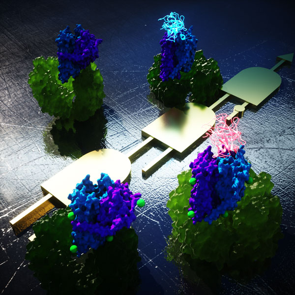 HFSP (@hfsp) on Twitter photo Towards cyborg biology - electrochemical #biosensors of everything - by HFSP Program Grant holders Kirill Alexandrov  @IFE_QUT and Evgeny Katz <a href="/ClarksonUniv/">Clarkson University</a> and colleagues bit.ly/3494EV6 Towards cyborg biology - electrochemical #biosensors of everything - by HFSP Program Grant holders Kirill Alexandrov  @IFE_QUT and Evgeny Katz <a href="/ClarksonUniv/">Clarkson University</a> and colleagues bit.ly/3494EV6