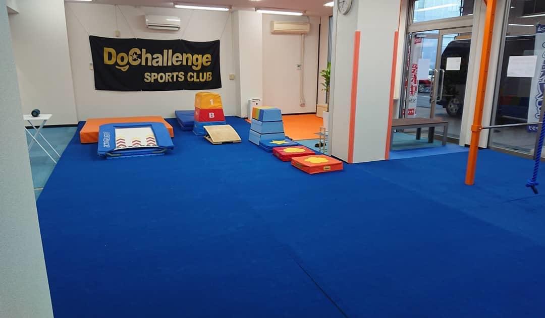 s_days_dance's tweet image. 長年、体操クラスでお世話になっている、Do Challenge CLUBさんが、9月に健軍校をオープンされます！⁣

一部提携を結んでおり、デイズ所属の方には、入会割引チケットを準備しています。⁣
興味ある方は是非チェックしてみて下さい！
⁣
デイズにチラシがあるよ☆⁣
持っていってね〜😉⁣