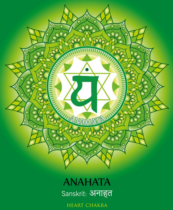 .𝐂𝐡𝐚𝐤𝐫𝐚 𝐂œ𝐮𝐫 - 𝐀𝐧𝐚̄𝐡𝐚𝐭𝐚."I LOVE"Couleur : VertSens : TouchéMantra : YumSymbole : Triangles entremêlésPlanète : VénusPierre : RubisÉlément : EauInfluence : Compassion, amourImpact de son dysfonctionnement : manque de confiance en soi/en l'autre, solitude