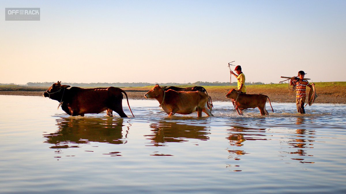JourneysOff's tweet image. Country living #photography #photographylovers #travelphotography #travel #adventurer #travelling