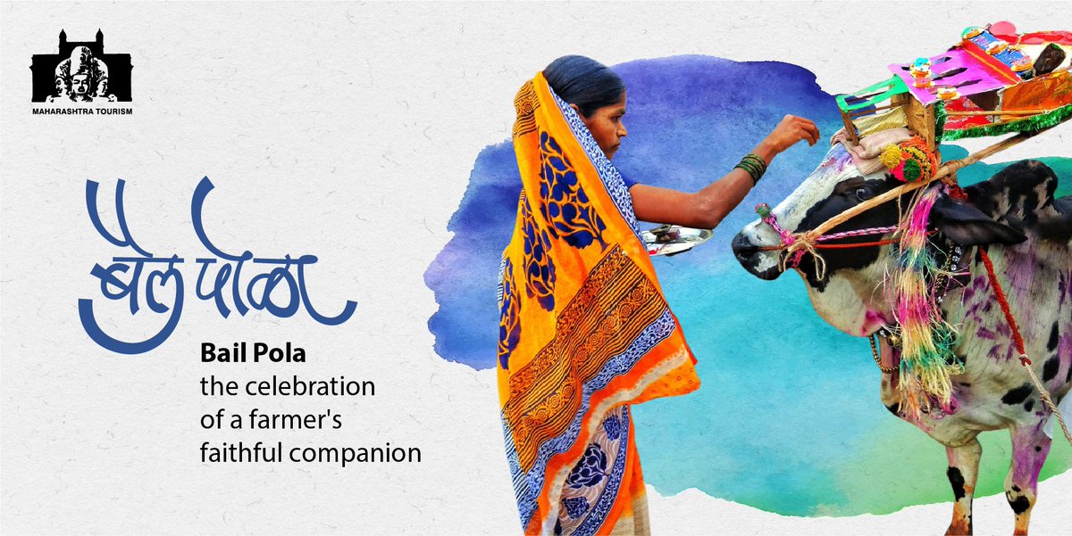 Oxen &amp;bulls play an important part in the life of a farmer. To thank these animals&amp; to celebrate their hard work, the farmers of Maharashtra celebrate the festival of #BailPola.People thank &amp; acknowledge the imp of bulls &amp; oxen in their agricultural &amp;farming activities.#बैलपोळा