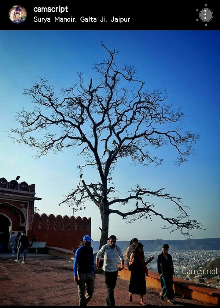 TheCamScript's tweet photo. Evening walk......
.
#jaipurdiaries #jaipurphotography #candidphotography #sunsetsniper #sunsets #galtaji #galtajitemple #galtajijaipur #suryatemple #eveningsky #spring #autumn #jaipur  #rajasthantrip #rajasthanphotography #india #indiatourism #camscriptphotography https://t.co/9tjEMJl5XR