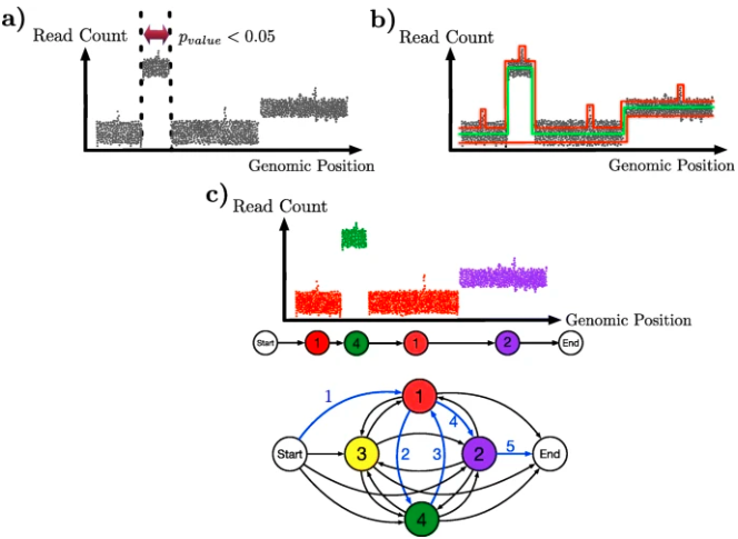 Mallory, Nakhleh and co review methods for detecting copy number aberrations in single-cell DNA sequencing data, from the perspective of cancer genomics. They discuss the seven basic steps involved in segmenting the genome, and then describe 8 methods genomebiology.biomedcentral.com/articles/10.11…