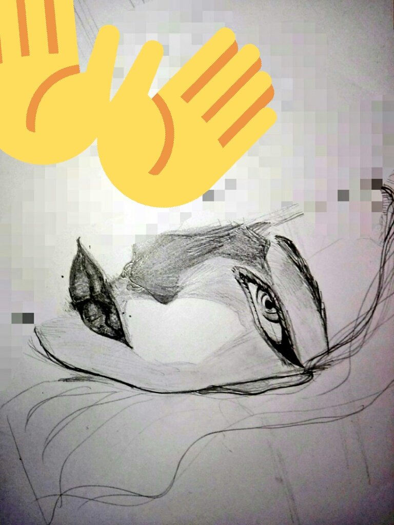 こんな顔に生まれたかった（  ^ิ,_^ิ）