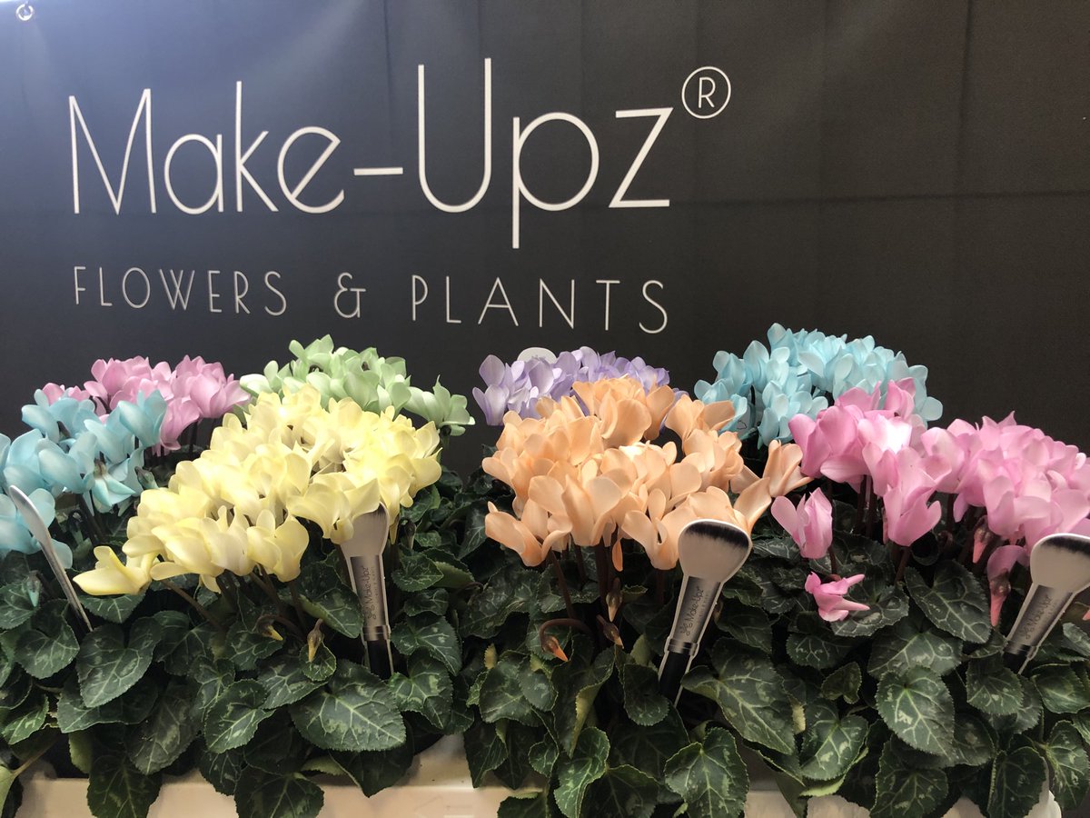 Ze zijn weer beschikbaar !
#makeupz #cyclamen via ⁦<a href="/Apartus/">Apartus Mike Bruinen</a>⁩ . #vrolijk #zomers