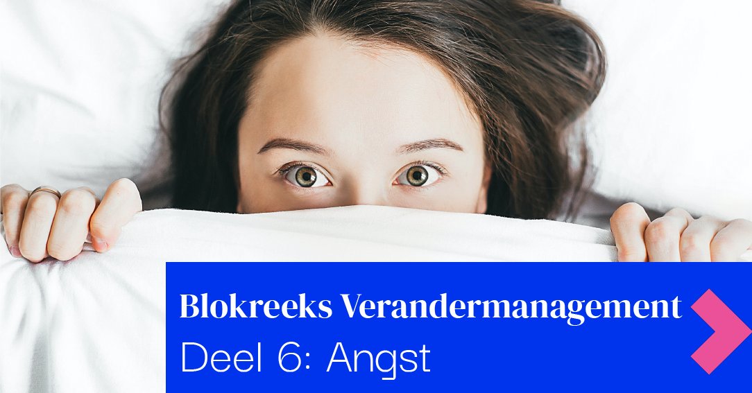 Vandaag het laatste deel van onze blogreeks over verandermanagement: Angst.  Waarom voelen wij vaak angst als er een verandering gaande is of aangekondigd wordt? En hoe kan je als begeleider van een verandering medewerkers daar het beste bij begeleiden? lnkd.in/e3WeUuy