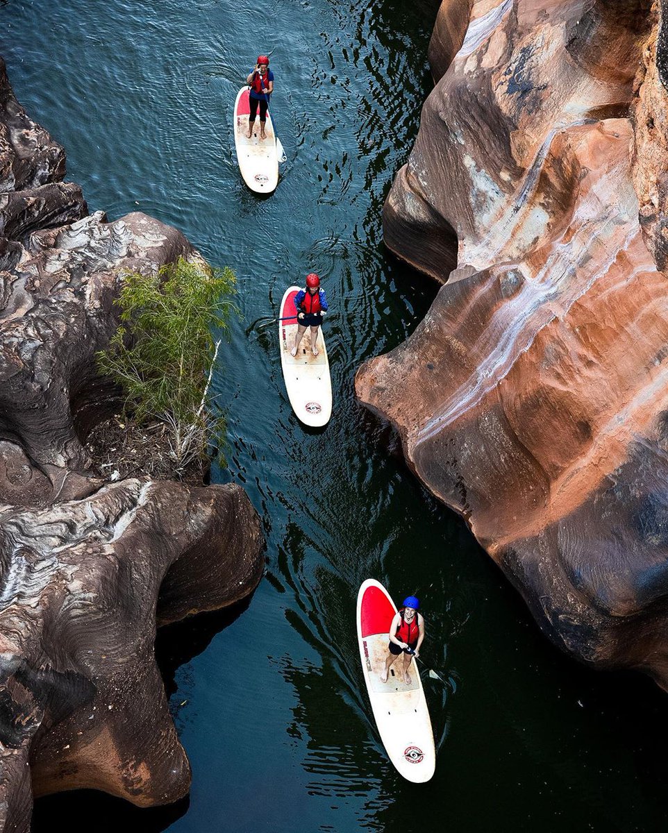 CairnsGBR's tweet photo. No outback trip is complete without a stop at the spectacular @cobboldgorge 🙌🌴 Carving its way through ancient sandstone cliffs &amp; breathtaking landscapes, Cobbold Gorge is one not to be missed 😍✨
​
(Via IG/seanscottphotography) #exploreTNQ #explorecairnsGBR https://t.co/uX96VqaMf6