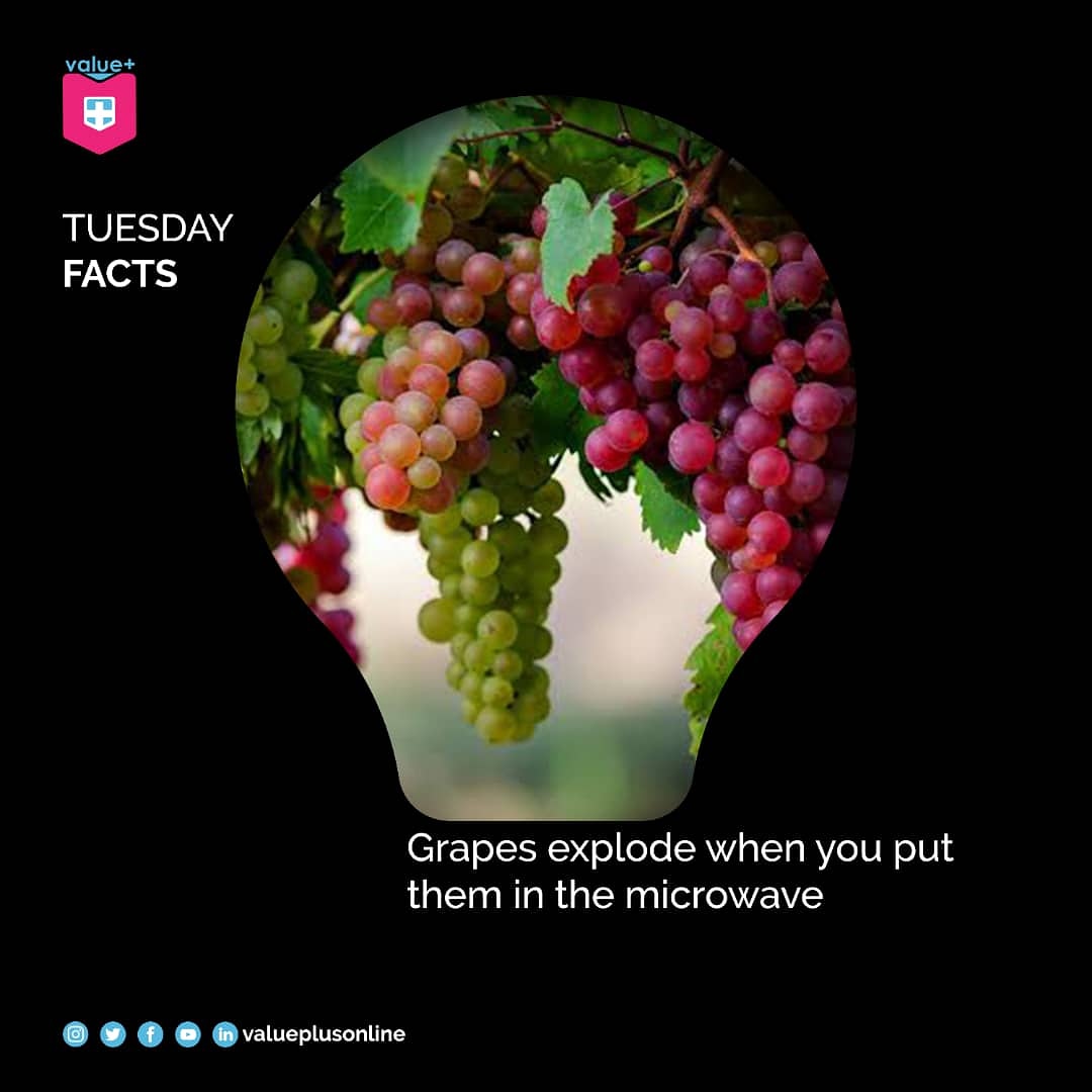 Valueplusonline's tweet photo. #Grapes #TuesdayFact #ValueplusInitiative #ValueplusOnline https://t.co/uVMN5rQTi8