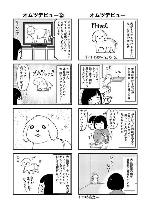 うちの老犬がヨボヨボかわいい話
(犬19歳になりました?) 