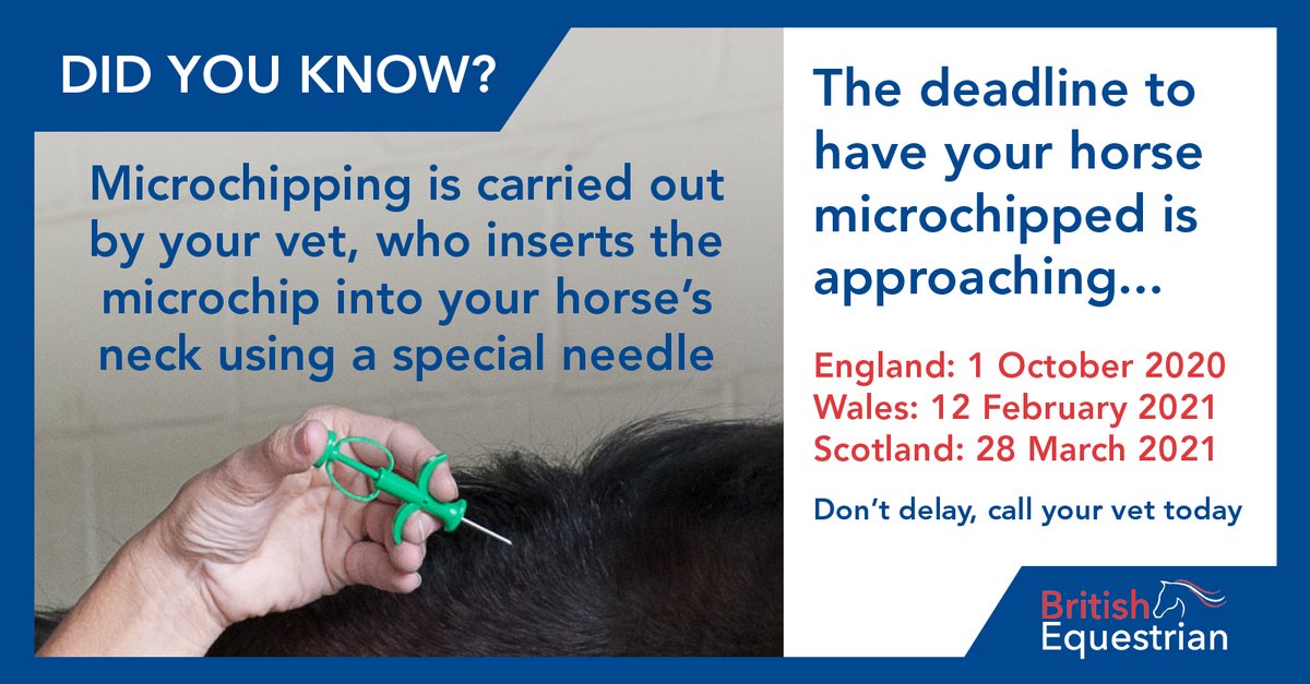 BritEquestrian's tweet image. Microchipping is a quick, simple procedure carried out by your vet, and it's also relatively inexpensive. All horses in England must be microchipped by 1 October 2020, with similar legislation coming into force in Wales and Scotland in 2021.  

#MicrochipMonday