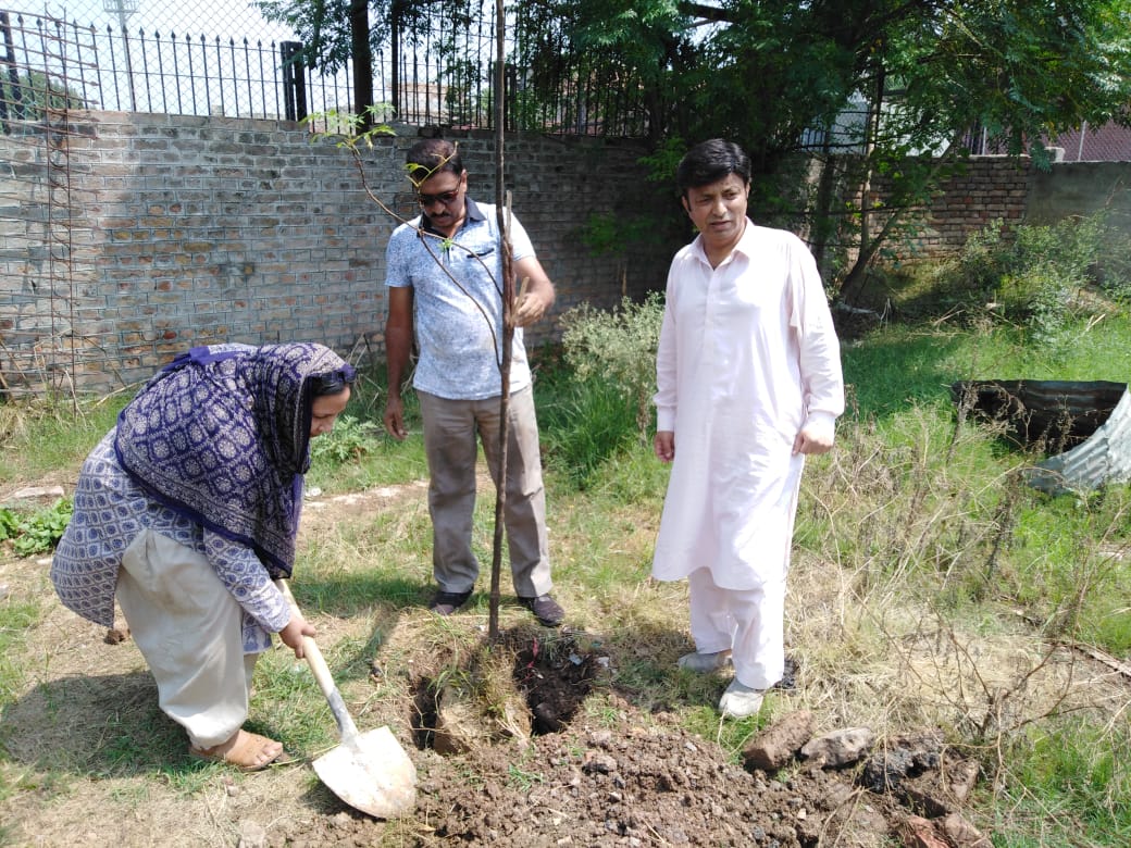 Make_Pak_Green's tweet photo. If you could just imagine the value of the single seed  you planted today after a decade you would have planted a whole forest.
#MakePakistanGreen https://t.co/W9eC2JJz68
